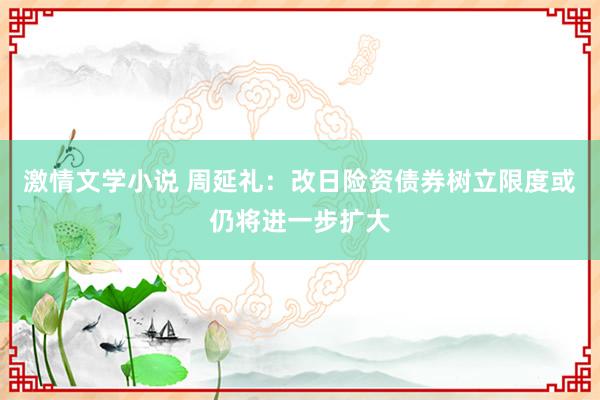 激情文学小说 周延礼：改日险资债券树立限度或仍将进一步扩大