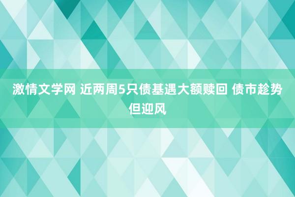 激情文学网 近两周5只债基遇大额赎回 债市趁势但迎风