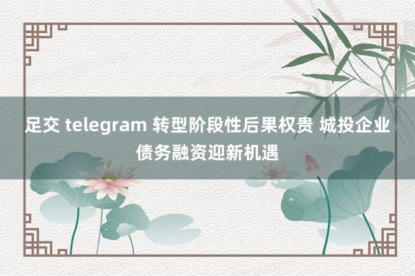 足交 telegram 转型阶段性后果权贵 城投企业债务融资迎新机遇