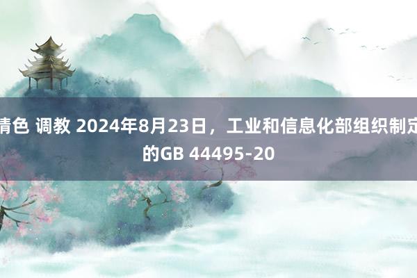 情色 调教 2024年8月23日，工业和信息化部组织制定的GB 44495-20