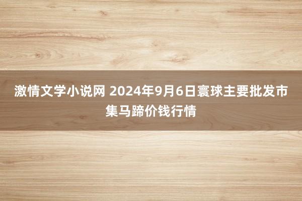 激情文学小说网 2024年9月6日寰球主要批发市集马蹄价钱行情