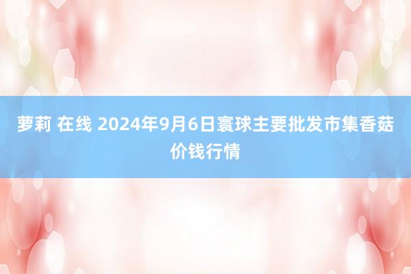 萝莉 在线 2024年9月6日寰球主要批发市集香菇价钱行情