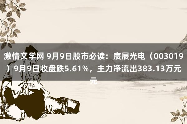 激情文学网 9月9日股市必读：宸展光电（003019）9月9日收盘跌5.61%，主力净流出383.13万元