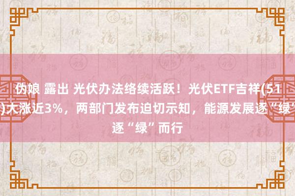 伪娘 露出 光伏办法络续活跃！光伏ETF吉祥(516180)大涨近3%，两部门发布迫切示知，能源发展逐“绿”而行