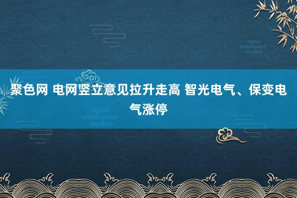 聚色网 电网竖立意见拉升走高 智光电气、保变电气涨停