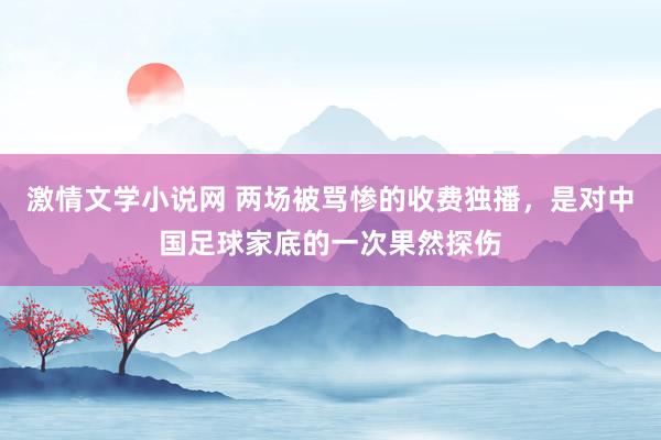 激情文学小说网 两场被骂惨的收费独播，是对中国足球家底的一次果然探伤