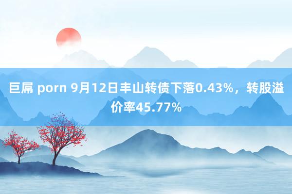 巨屌 porn 9月12日丰山转债下落0.43%，转股溢价率45.77%