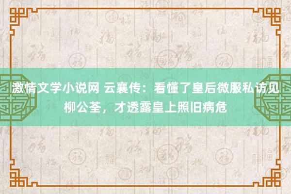 激情文学小说网 云襄传：看懂了皇后微服私访见柳公荃，才透露皇上照旧病危