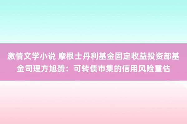 激情文学小说 摩根士丹利基金固定收益投资部基金司理方旭赟：可转债市集的信用风险重估