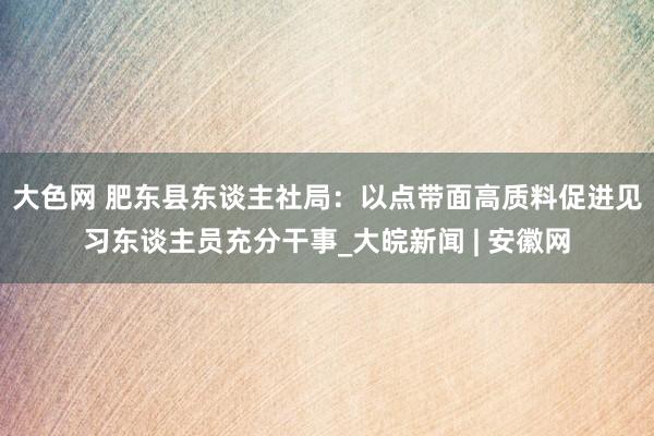 大色网 肥东县东谈主社局：以点带面高质料促进见习东谈主员充分干事_大皖新闻 | 安徽网