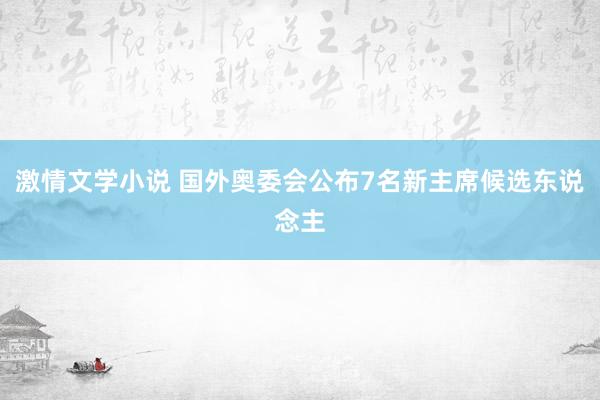 激情文学小说 国外奥委会公布7名新主席候选东说念主