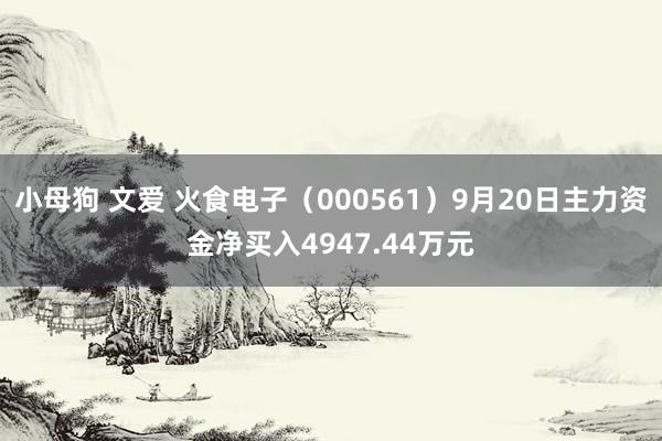 小母狗 文爱 火食电子（000561）9月20日主力资金净买入4947.44万元