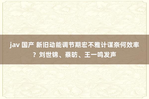 jav 国产 新旧动能调节期宏不雅计谋奈何效率？刘世锦、蔡昉、王一鸣发声