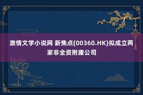 激情文学小说网 新焦点(00360.HK)拟成立两家非全资附庸公司