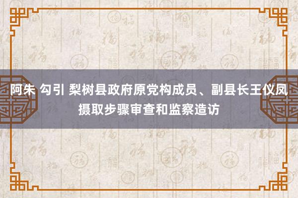 阿朱 勾引 梨树县政府原党构成员、副县长王仪凤摄取步骤审查和监察造访