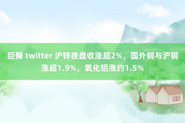 巨臀 twitter 沪锌夜盘收涨超2%，国外铜与沪铜涨超1.9%，氧化铝涨约1.5%