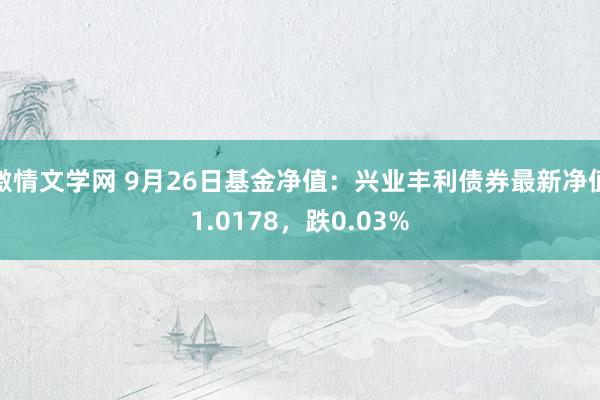 激情文学网 9月26日基金净值：兴业丰利债券最新净值1.0178，跌0.03%