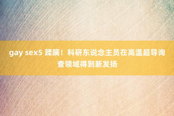 gay sex5 蹂躏！科研东说念主员在高温超导询查领域得到新发扬