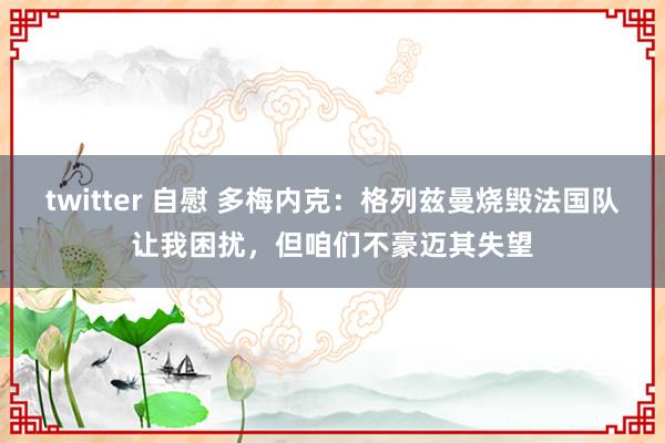 twitter 自慰 多梅内克：格列兹曼烧毁法国队让我困扰，但咱们不豪迈其失望