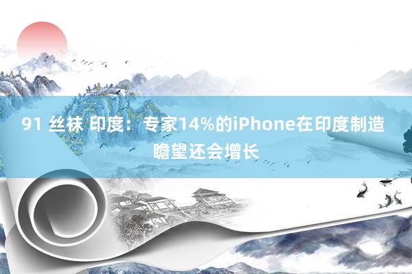 91 丝袜 印度：专家14%的iPhone在印度制造 瞻望还会增长