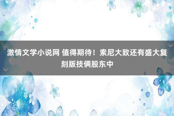 激情文学小说网 值得期待！索尼大致还有盛大复刻版技俩股东中