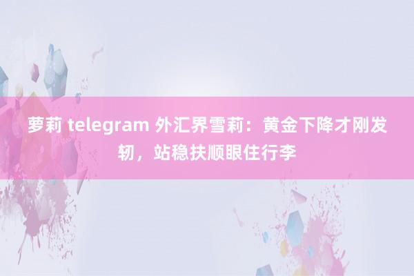 萝莉 telegram 外汇界雪莉：黄金下降才刚发轫，站稳扶顺眼住行李