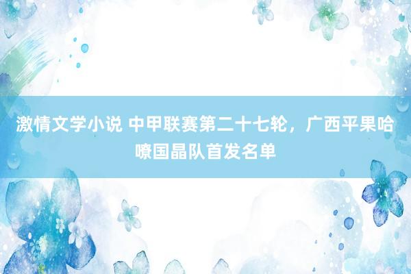 激情文学小说 中甲联赛第二十七轮，广西平果哈嘹国晶队首发名单