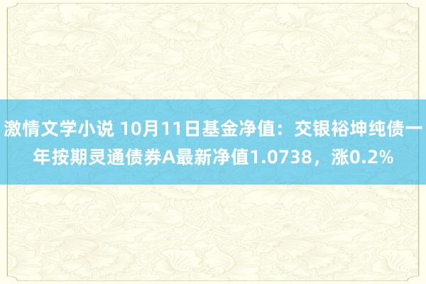 激情文学小说 10月11日基金净值：交银裕坤纯债一年按期灵通债券A最新净值1.0738，涨0.2%