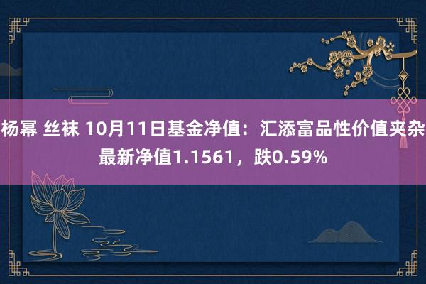 杨幂 丝袜 10月11日基金净值：汇添富品性价值夹杂最新净值1.1561，跌0.59%