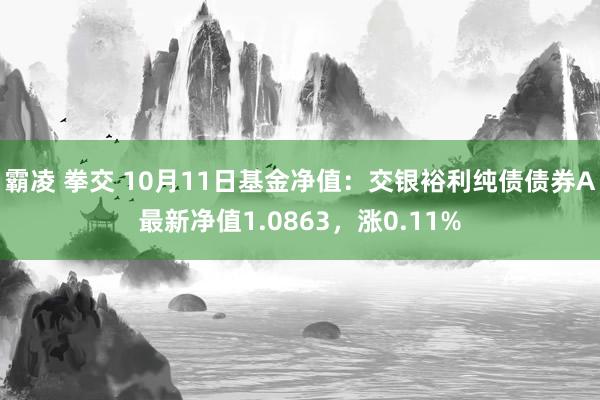 霸凌 拳交 10月11日基金净值：交银裕利纯债债券A最新净值1.0863，涨0.11%