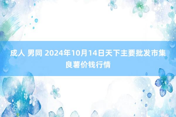 成人 男同 2024年10月14日天下主要批发市集良薯价钱行情