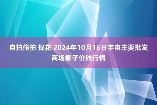 自拍偷拍 探花 2024年10月16日宇宙主要批发商场椰子价钱行情