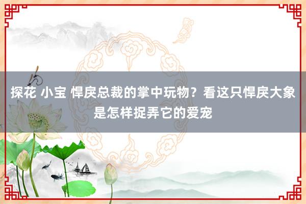 探花 小宝 悍戾总裁的掌中玩物？看这只悍戾大象是怎样捉弄它的爱宠