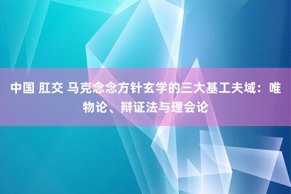 中国 肛交 马克念念方针玄学的三大基工夫域：唯物论、辩证法与理会论