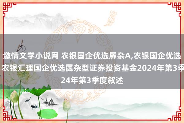 激情文学小说网 农银国企优选羼杂A，农银国企优选羼杂C: 农银汇理国企优选羼杂型证券投资基金2024年第3季度叙述