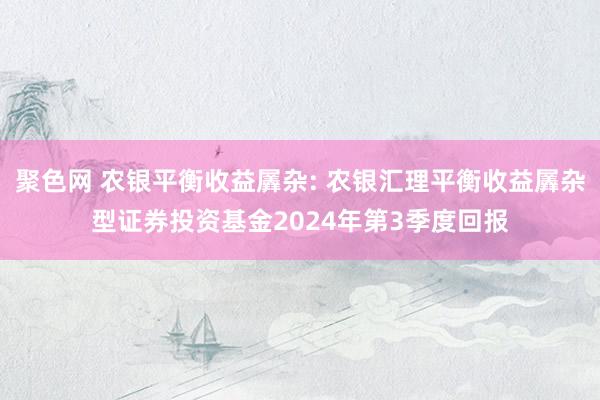 聚色网 农银平衡收益羼杂: 农银汇理平衡收益羼杂型证券投资基金2024年第3季度回报