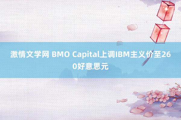 激情文学网 BMO Capital上调IBM主义价至260好意思元