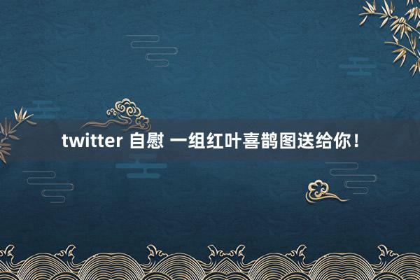 twitter 自慰 一组红叶喜鹊图送给你！