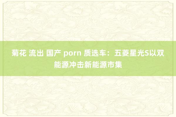 菊花 流出 国产 porn 质选车：五菱星光S以双能源冲击新能源市集