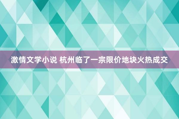 激情文学小说 杭州临了一宗限价地块火热成交