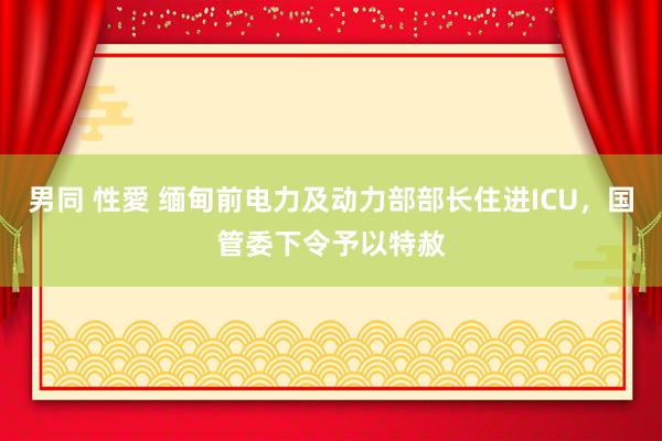 男同 性愛 缅甸前电力及动力部部长住进ICU，国管委下令予以特赦