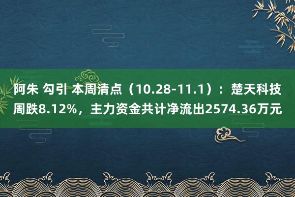 阿朱 勾引 本周清点（10.28-11.1）：楚天科技周跌8.12%，主力资金共计净流出2574.36万元