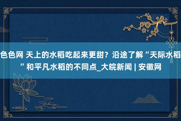 色色网 天上的水稻吃起来更甜？沿途了解“天际水稻”和平凡水稻的不同点_大皖新闻 | 安徽网