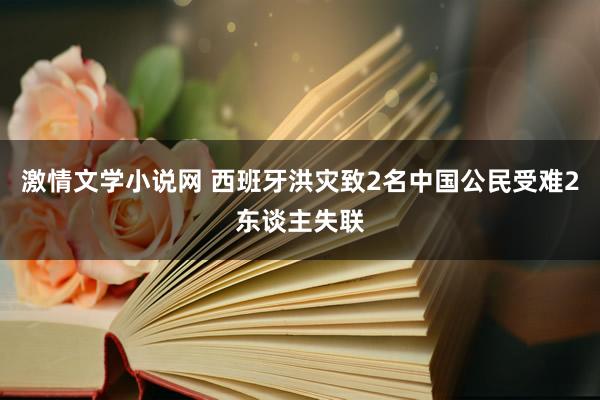 激情文学小说网 西班牙洪灾致2名中国公民受难2东谈主失联