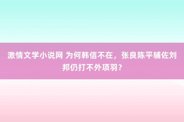 激情文学小说网 为何韩信不在，张良陈平辅佐刘邦仍打不外项羽？