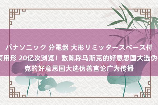 パナソニック 分電盤 大形リミッタースペース付 露出・半埋込両用形 20亿次浏览！敷陈称马斯克的好意思国大选伪善言论广为传播