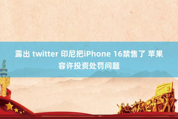 露出 twitter 印尼把iPhone 16禁售了 苹果容许投资处罚问题