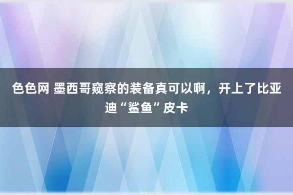 色色网 墨西哥窥察的装备真可以啊，开上了比亚迪“鲨鱼”皮卡