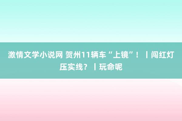 激情文学小说网 贺州11辆车“上镜”！丨闯红灯压实线？丨玩命呢