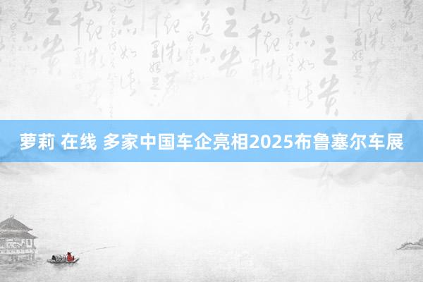 萝莉 在线 多家中国车企亮相2025布鲁塞尔车展